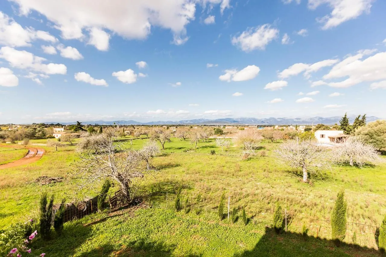 Villa Agina Algaida  Spain